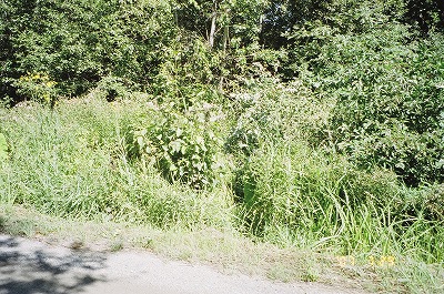 Resized Canada44210019