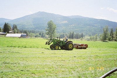 Resized Canada44210001