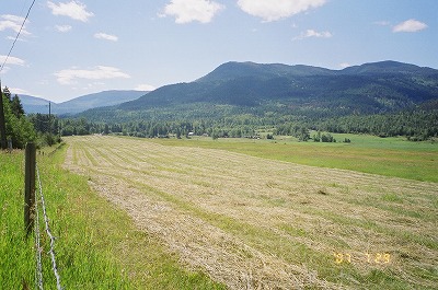 Resized Canada44210022