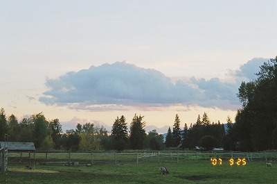 Resized Canada44340014