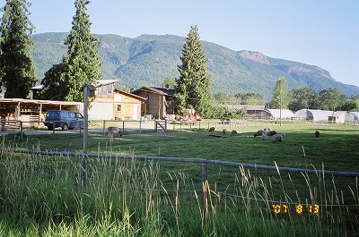 Resized Canada44230009