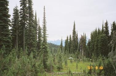Halcyon Hot Springs Nakusp BC