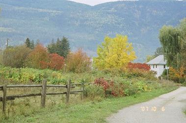 Resized Canada44240008