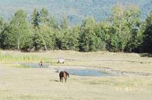 Resized Canada44270021